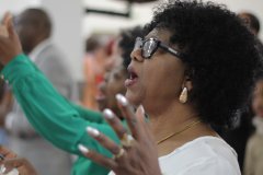 IMG_1991