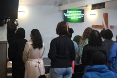 IMG_0061