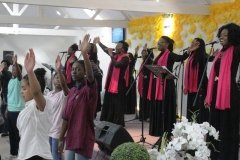 IMG_0952