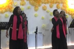 IMG_0966