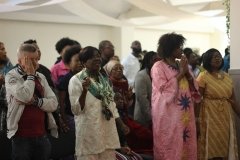 IMG_8410