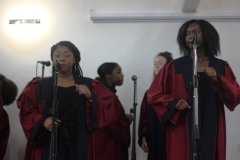IMG_8239