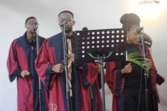 IMG_8282