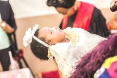 IMG_0388